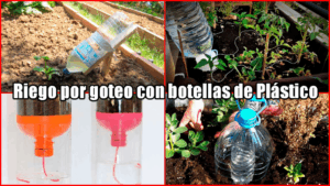 Cómo hacer un sistema de riego por goteo casero con botellas de plástico (Instrucciones + PDF gratis)